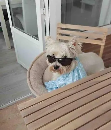 Near The Sea Apartamento *