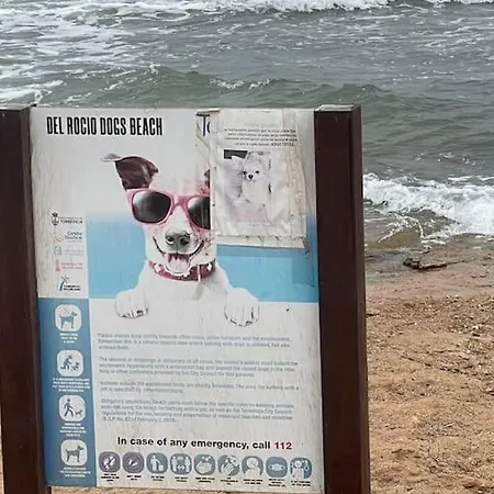 Near The Sea * Torrevieja