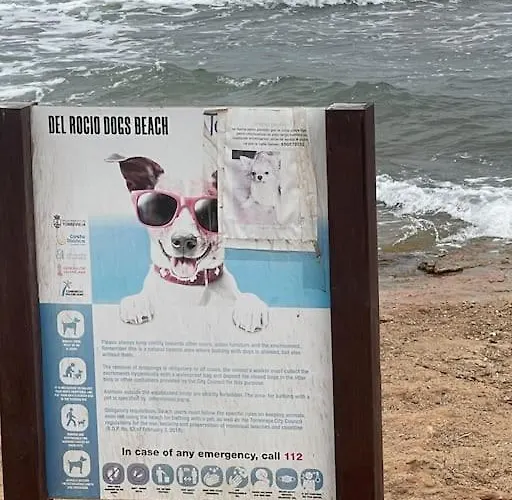 Near The Sea * Torrevieja