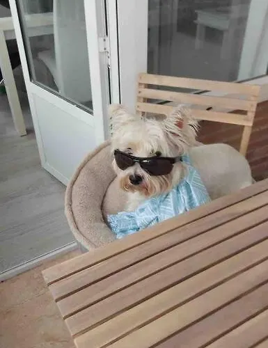 Near The Sea Lägenhet *